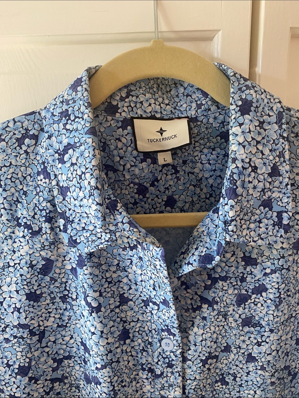Tuckernuck Blue Floral Button-Front Dress - Picture 2 of 8